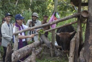 Universitas Gadjah Mada’s Rector Panut Mulyono (second left) feed livestock during a field visit at KKN-PPM UGM in Pemenang Barat Village, North Lombok, West Nusa Tenggara. The visit was to see directly the work of UGM students who were carrying out KKN-PPM with the main program of empowering communities around Pemenang Barat Village especially in tourism. (Illustration)